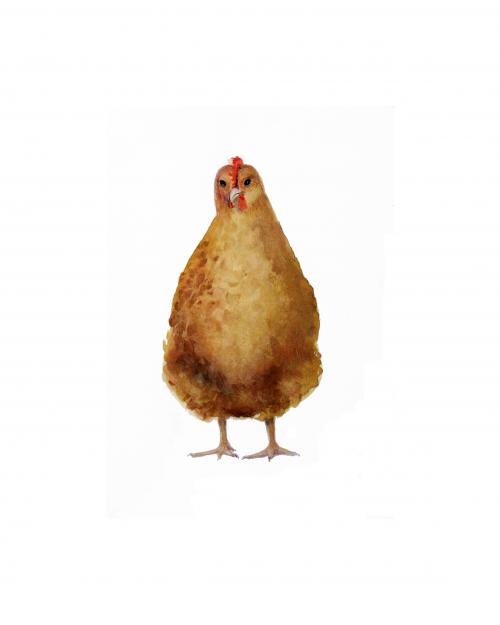  ID-Nr.=782